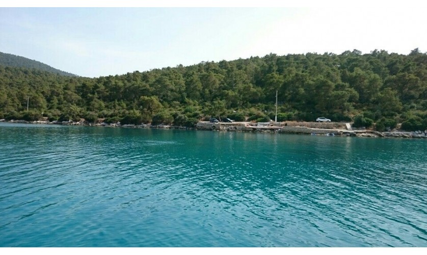 Didim Akbuk Transfers