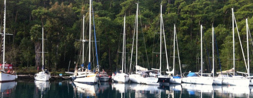 Karacasogut Transfers