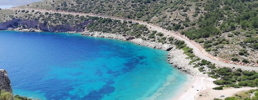 Palamutbuku Transfer