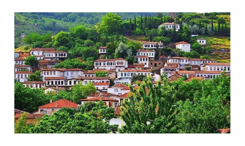 Selcuk Sirince Transfers