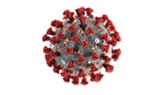 Bodrum Transfer Olarak Corona Virüs Önlemlerimiz Hazır